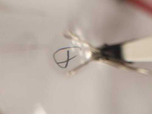 id-269633.v-1q6v2.w-1400