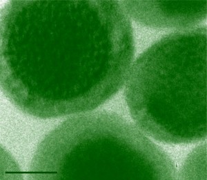 PW-2015-02-19-imaging-nanoparticle