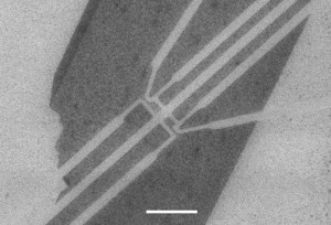 quantum-dots-micrograph